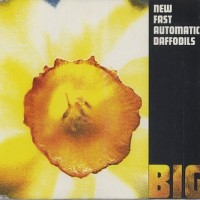 Purchase New Fast Automatic Daffodils - Big