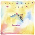 Buy Cassandra Wilson - Point Of View Mp3 Download