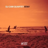 Purchase Dj Cam Quartet - Stay