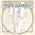 Purchase White Elephant- Mike Mainieri & Friends CD1 MP3