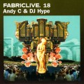 Buy VA - Fabriclive 18 - Andy C & DJ Hype Mp3 Download