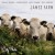 Buy James Farm - City Folk Mp3 Download