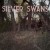 Buy Silver Swans - Secrets (EP) Mp3 Download