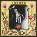 Buy Coyote - Coyote (Vinyl) Mp3 Download