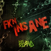 Purchase DJ Bl3Nd - Fkn Insane (CDS)