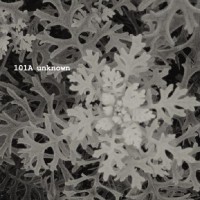 Purchase 101A - Unknown (EP)