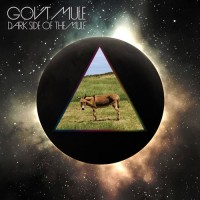 Purchase Gov't Mule - Dark Side Of The Mule CD1