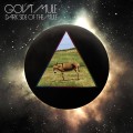 Buy Gov't Mule - Dark Side Of The Mule CD3 Mp3 Download