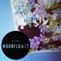 Purchase Plini - Moonflower (CDS)