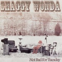 Purchase Shaggy Wonda - Not Bad For Tuesday