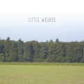 Buy Bobby Barnett - Little Wounds Mp3 Download