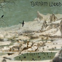 Purchase Birnam Wood - Birnam Wood