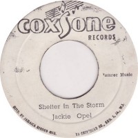 Purchase Jackie Opel - Shelter In The Storm (VLS)