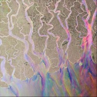 Purchase Alt-J - An Awesome Wave (Limited Edition)