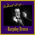 Buy Harpdog Brown - What It Is Mp3 Download