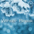 Buy VA - Winter Break (Finest Chillout & Lounge Music To Relax) Mp3 Download