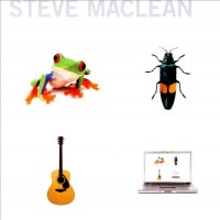 Purchase Steve Maclean - Frog Bug Guitar Computer