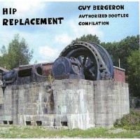 Purchase Guy Bergeron - Hip Replacement