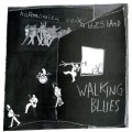 Buy Harmonica Coixa Blues Band - Walking Blues Mp3 Download