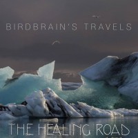 Purchase The Healing Road - Birdbrain's Travels