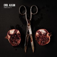 Purchase VA - Fabriclive 77: Erol Alkan