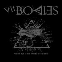Purchase VII Bodies - Behind The Liars Await The Thieves