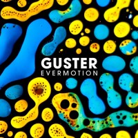 Purchase Guster - Evermotion