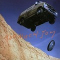Buy Too Much Joy - Mutiny Mp3 Download