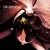 Buy Swarrrm - Flower Mp3 Download