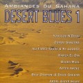 Buy VA - Ambiances Du Sahara: Desert Blues CD1 Mp3 Download