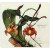 Buy Botanist - Vi: Flora Mp3 Download