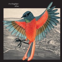 Purchase I'm Kingfisher - Avian