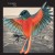 Buy I'm Kingfisher - Avian Mp3 Download
