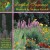 Buy Medwyn Goodall - Natural Balance: English Summer Mp3 Download