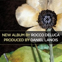 Purchase Rocco Deluca - Rocco DeLuca