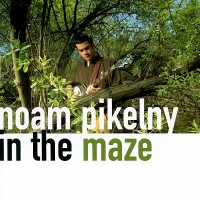 Purchase Noam Pikelny - In The Maze