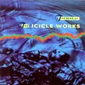Buy The Icicle Works - The Best Of The Icicle Works Mp3 Download
