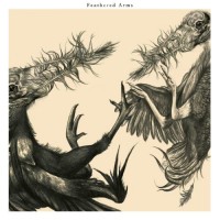 Purchase Feathered Arms - Feathered Arms