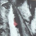 Buy Mortifera - Catacomb Mysteries Mp3 Download