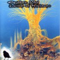 Buy Equilibrio Vital - Kazmor El Prisionero (Vinyl) Mp3 Download
