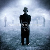 Purchase Another Perfect Storm - Another Perfect Storm