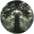Buy Anthony Rother - Gott / Luzifer (EP) Mp3 Download