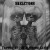 Buy Skeletons - Tripping At The Madhouse Gates Mp3 Download