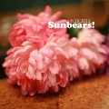 Buy Sunbears! - Gnc Live Sessions Mp3 Download