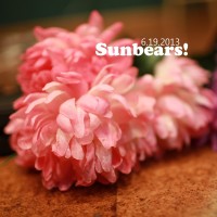 Purchase Sunbears! - Gnc Live Sessions