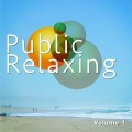 Buy VA - Public Relaxing Vol. 1 Chill Out And Entspannung Mp3 Download