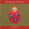 Buy Woodpecker Wooliams - Diving Down Mp3 Download