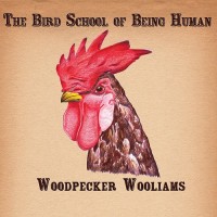 Purchase Woodpecker Wooliams - The Bird School Of Being Human