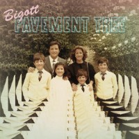 Purchase Bigott - Pavement Tree