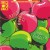 Buy Joe Goddard - Apple Bobbing (EP) Mp3 Download